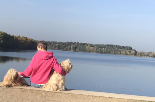 Offlumer See